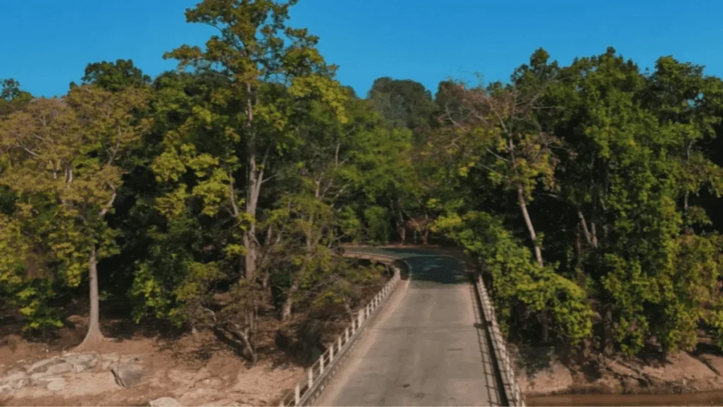 koyal river bridge in latehar