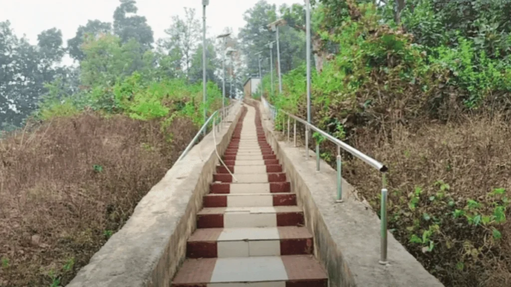 ladder of Narayanpur Fort