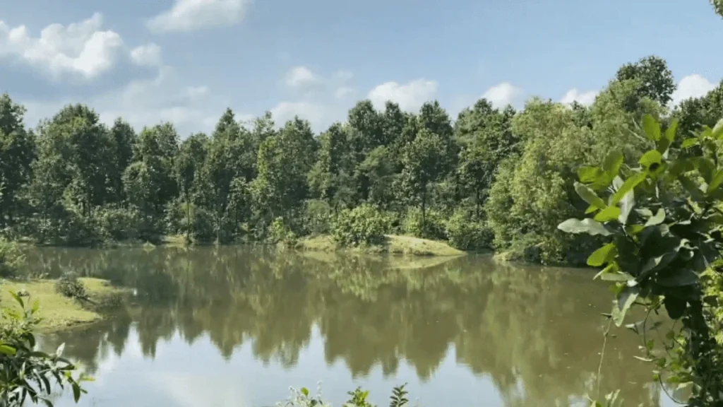 natural pond in forest of jharna kund dham