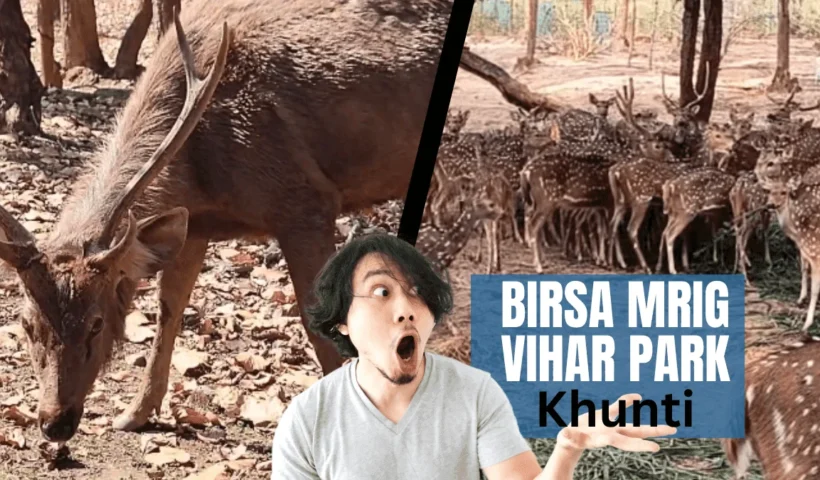 thumbnail image in Birsa Mrig Vihar Park