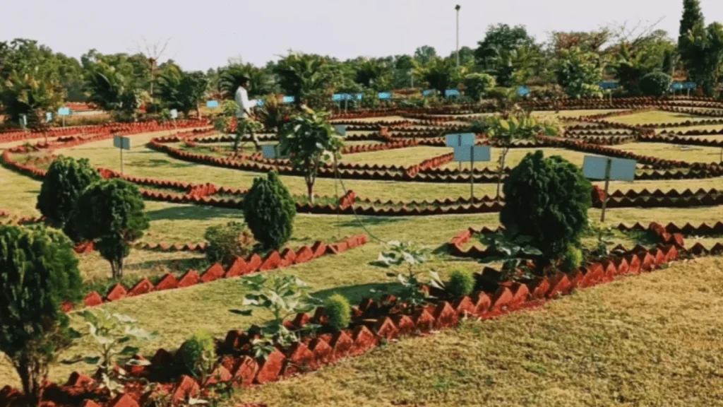 Birsa Upvan Biodiversity Park lohardaga