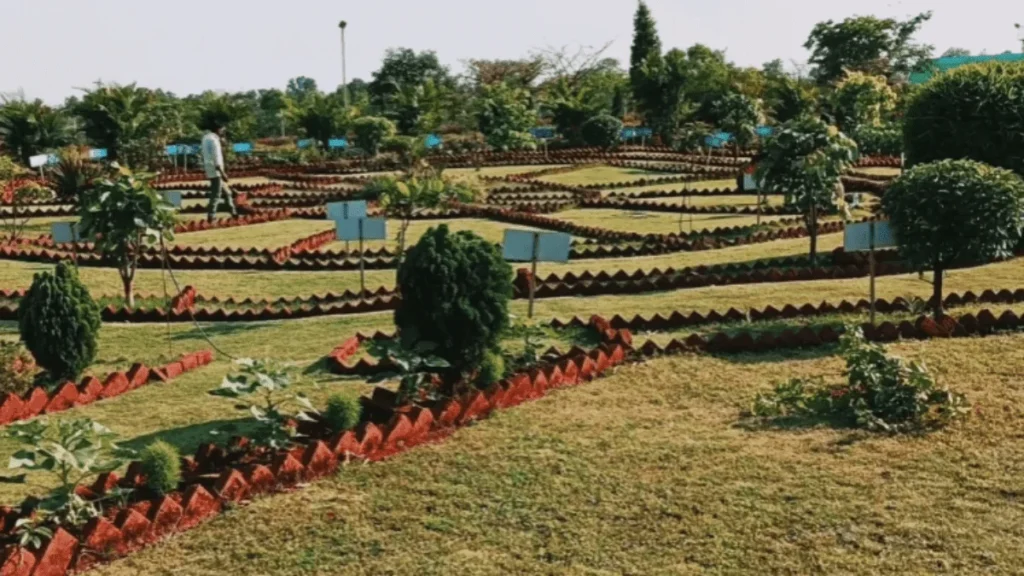 Birsa Upvan Biodiversity Park view