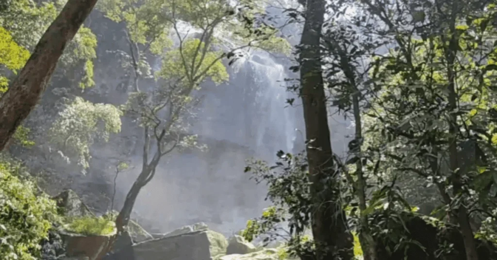 Dhardharia Waterfalls in the forest