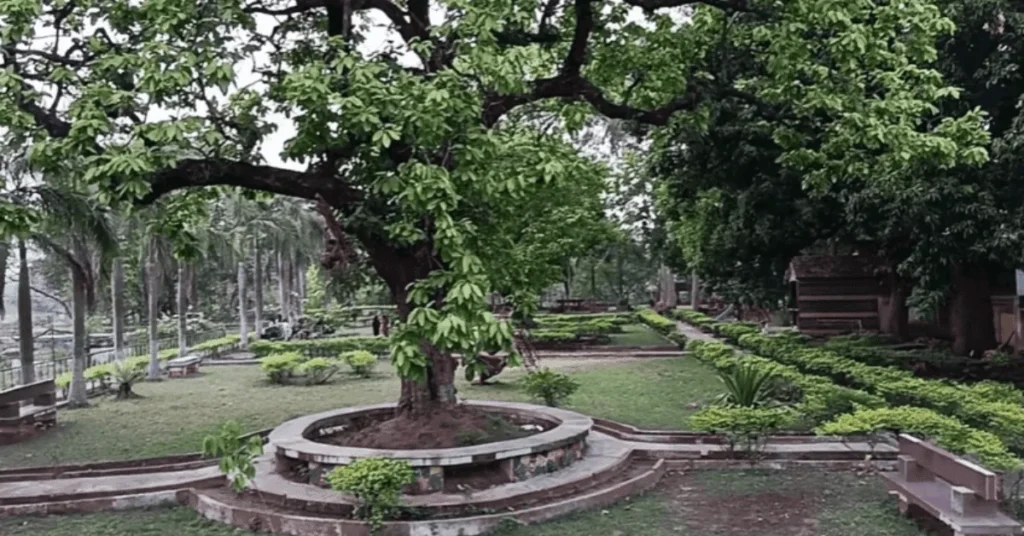 Prakriti Vihar Park view