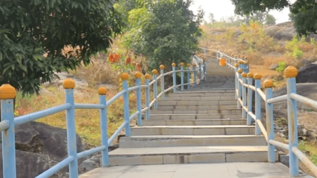 ladder of mountain