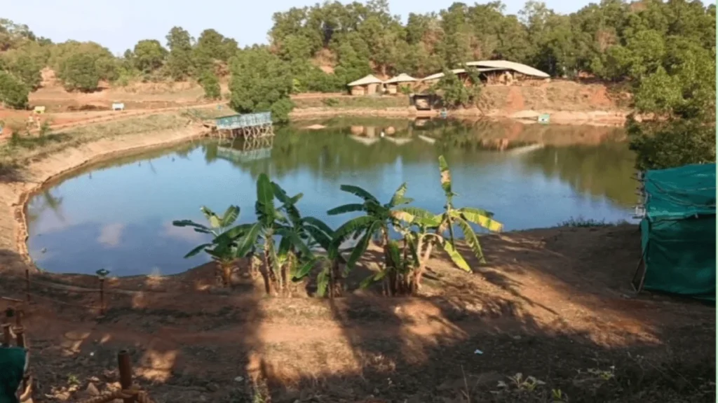 pont in the Birsa Upvan Biodiversity Park lohardaga