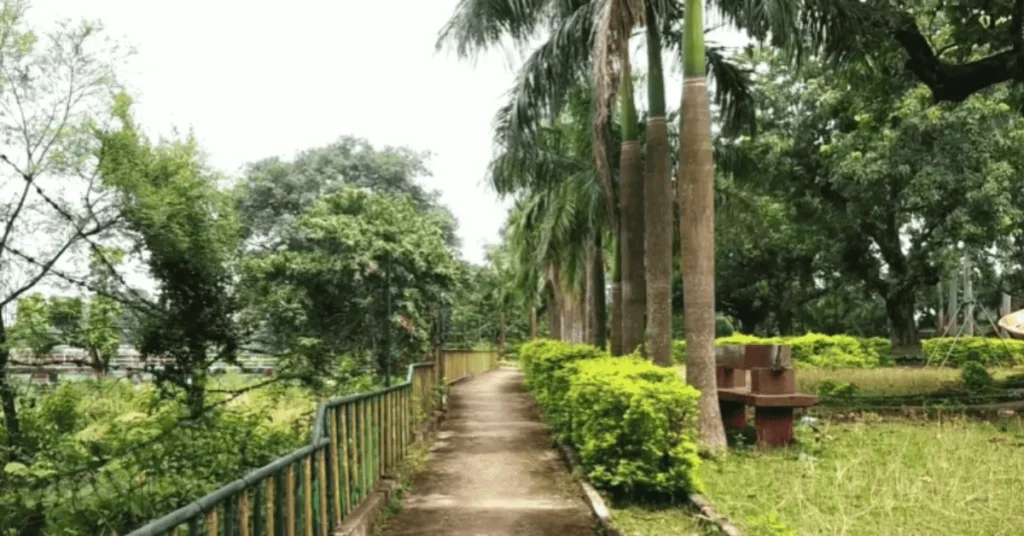 walking area in the Prakriti Vihar Park of amrapara pakur