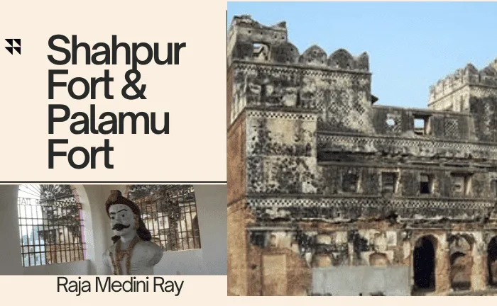 Shahpur Fort & Palamu Fort thumbnail image