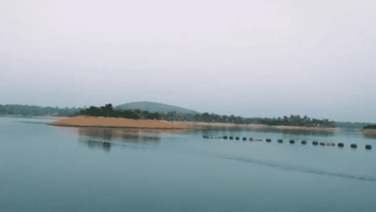 malay dam palamu