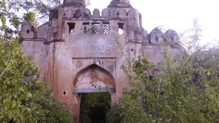 palamu fort main gate