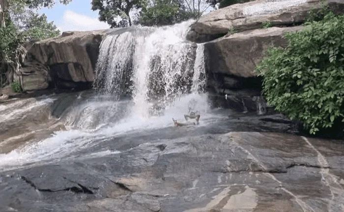 Mirchiya Waterfalls palamu jharkhand