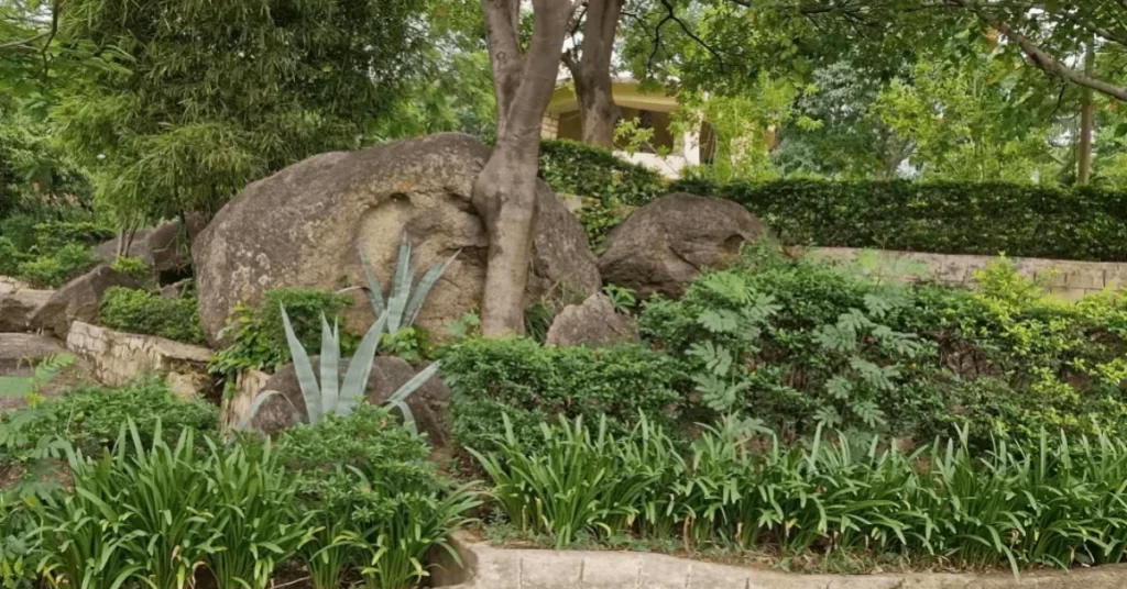 garden area of rock garden ranchi