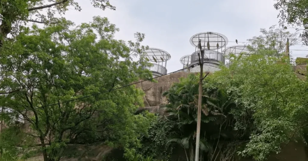 top view of rock garnden ranci jharkhand