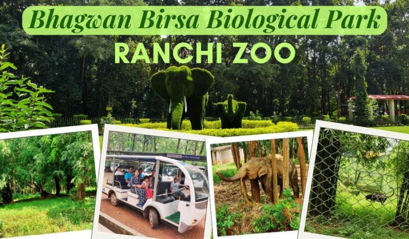Birsa Zoological Park Ranchi